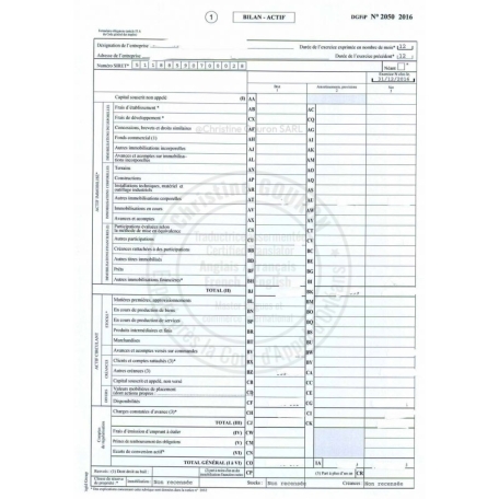 Traduction d'une liasse fiscale